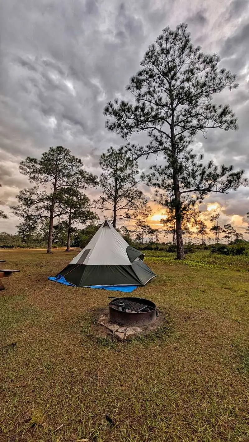 Highlands Hammock State Park - Sebring