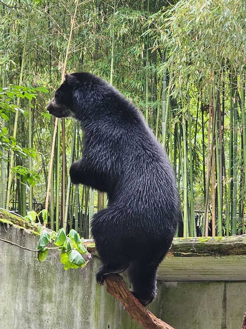 Salisbury Zoological Park
