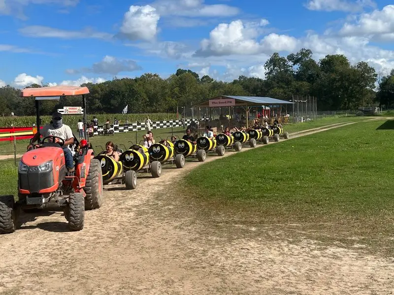 Froberg's Farm: A Market Stop With Festival Energy in Alvin