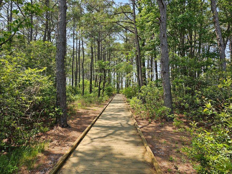 Three Little Trails With Big Payoffs
