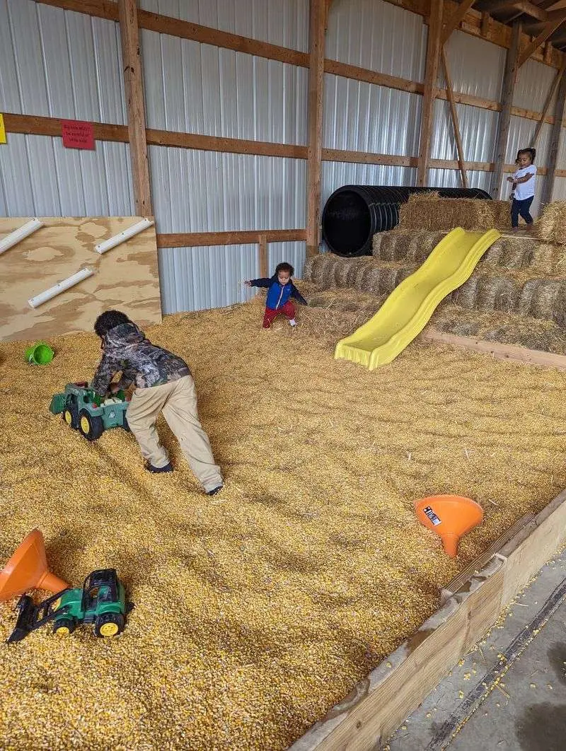 Fleitz Pumpkin Farm