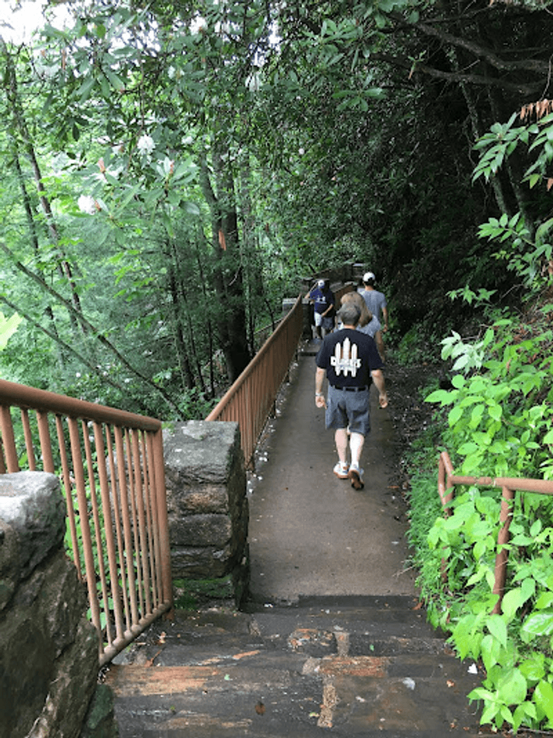 Follow the Short Path Down