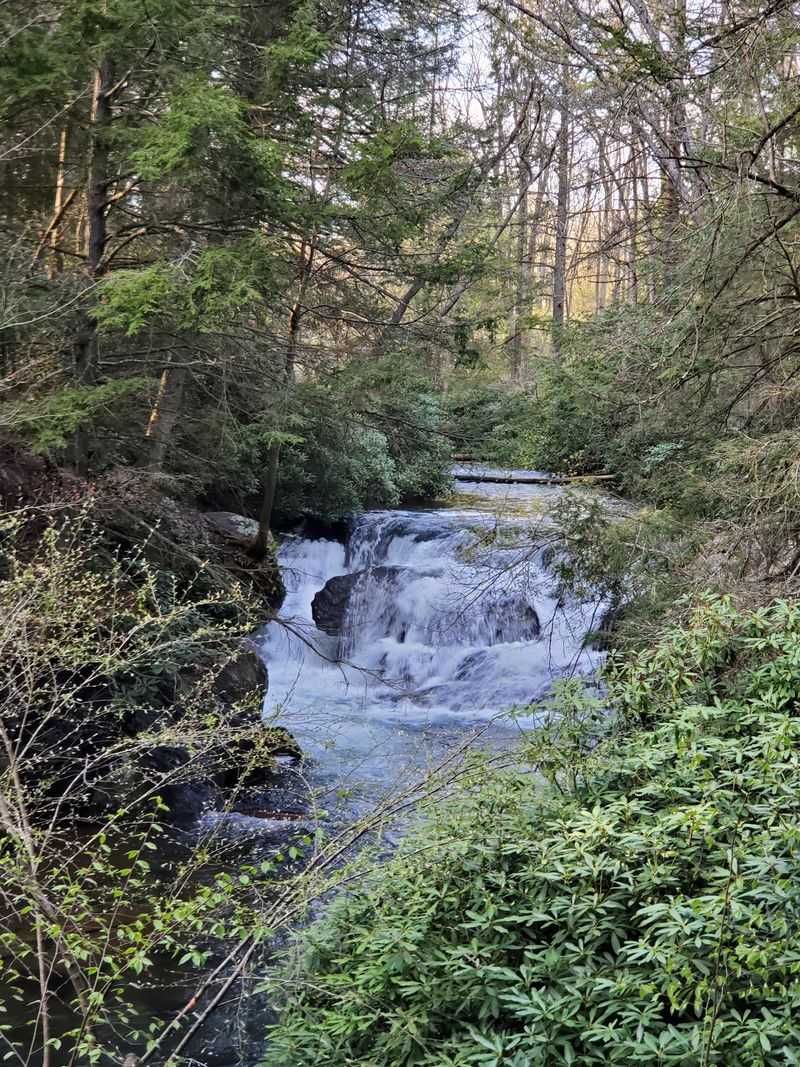 Follow Nearby Trails to Waterfall Scenery