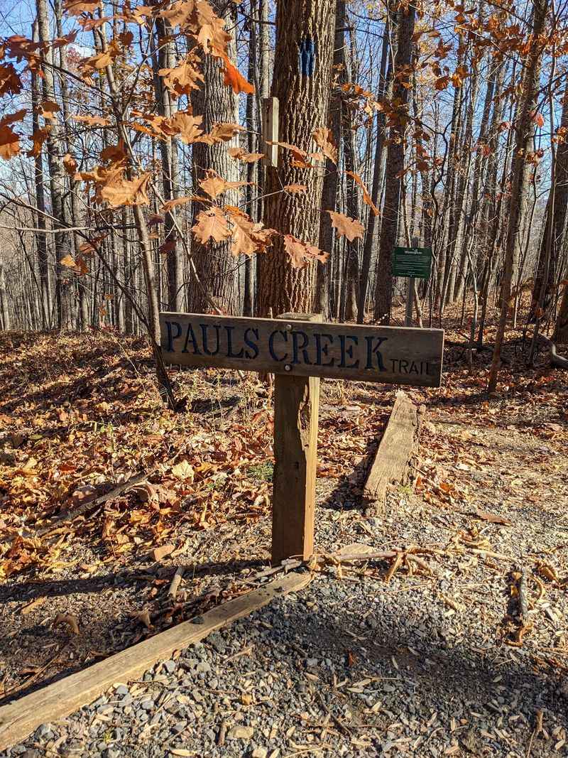Notice the Small Things Along Pauls Creek