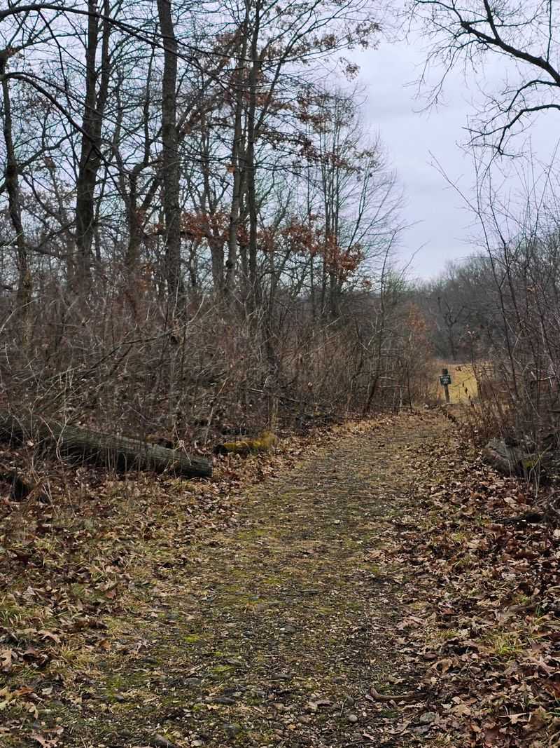 Read the Landscape at Stute Springs