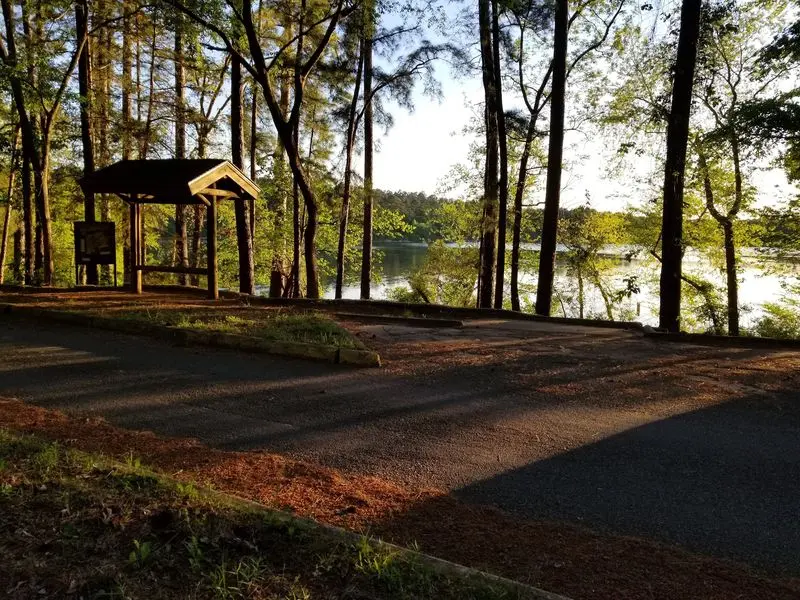 Pair Pine Shadows With Lake Time at Tyler State Park