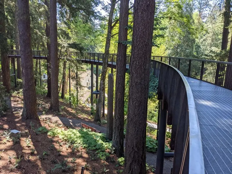 The Aerial Tree Walk Puts Everyone Up Among The Branches