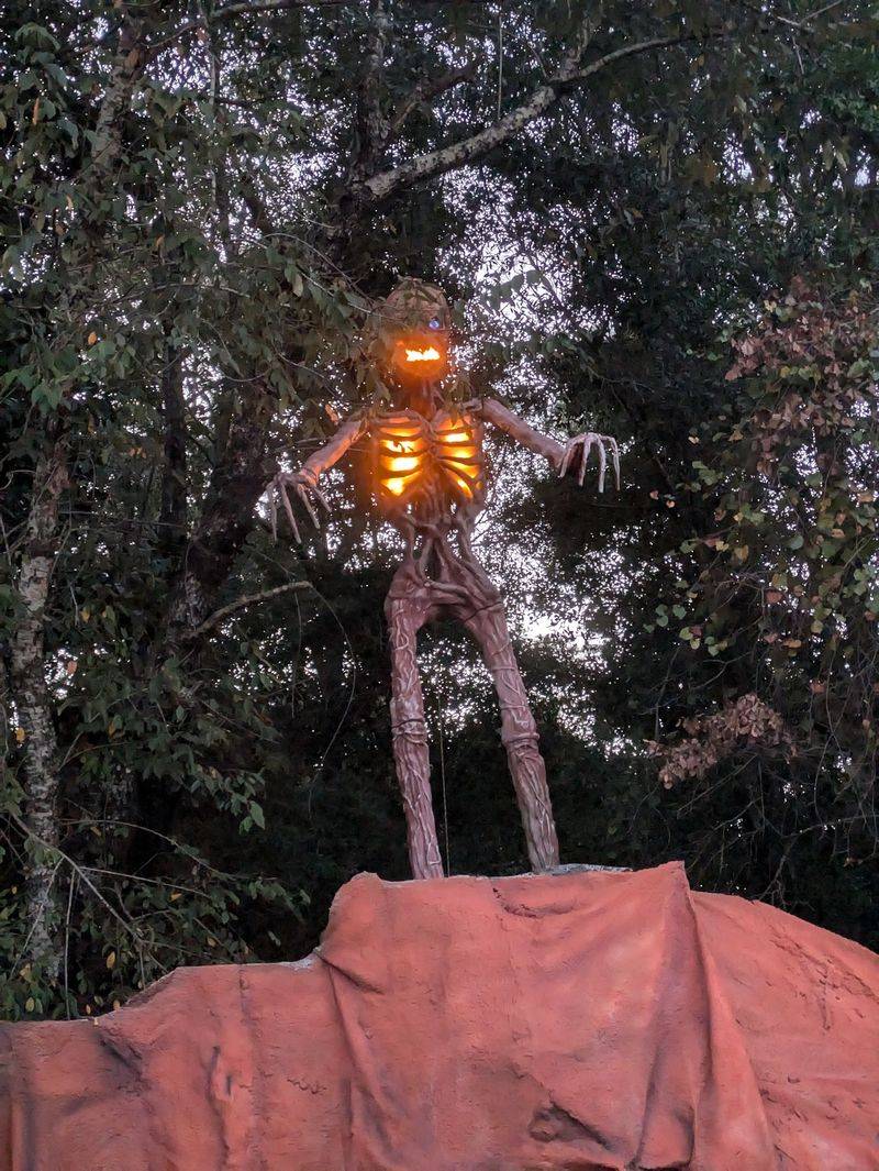 Creepy Hollow Woods