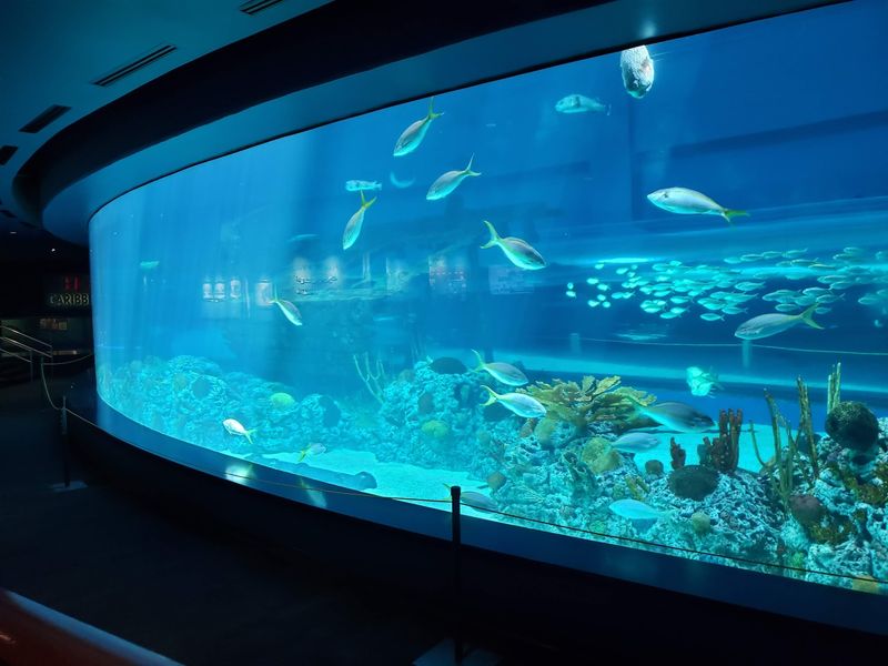 Texas State Aquarium