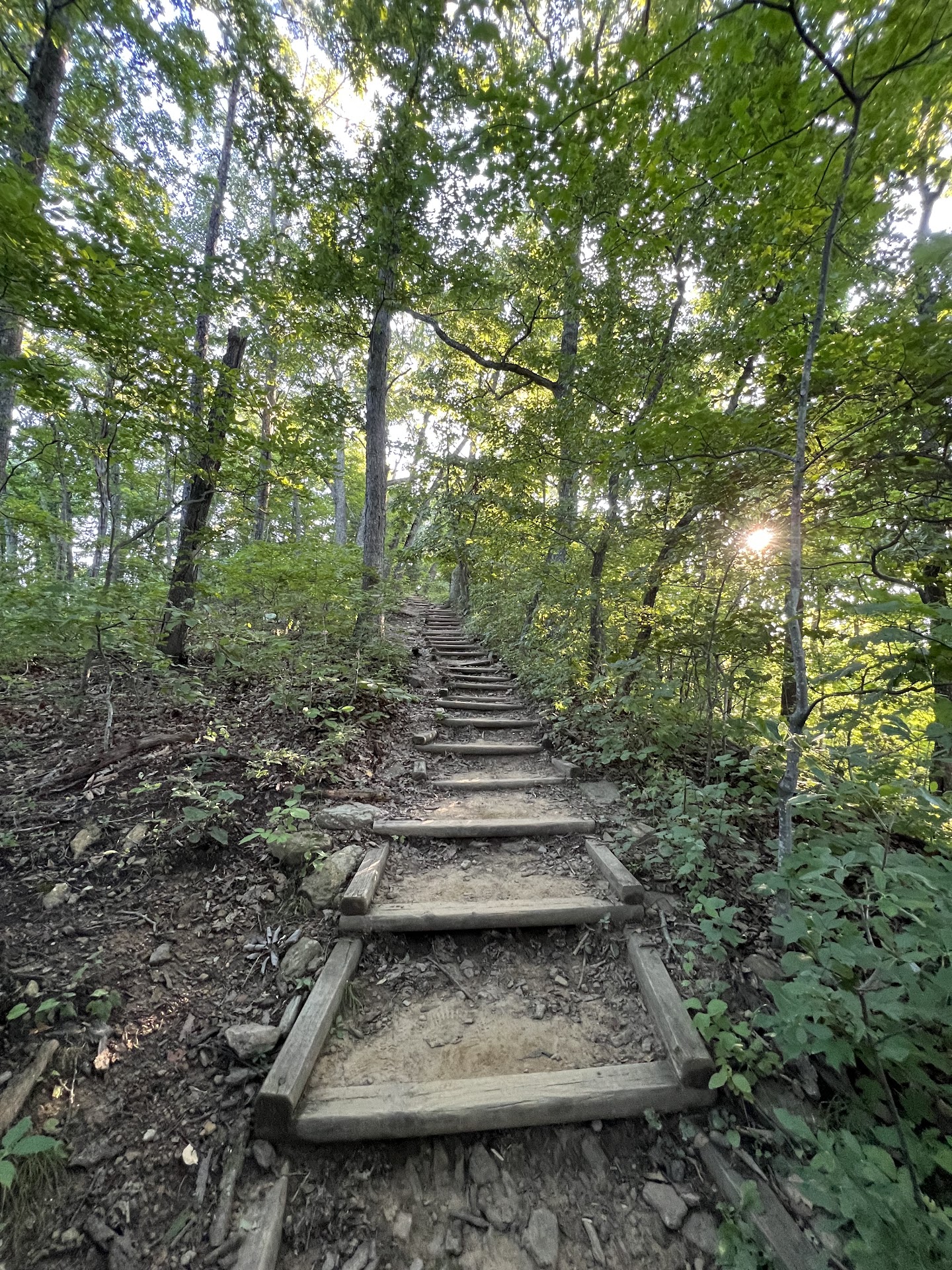 Your Legs Will Have Opinions About This Climb
