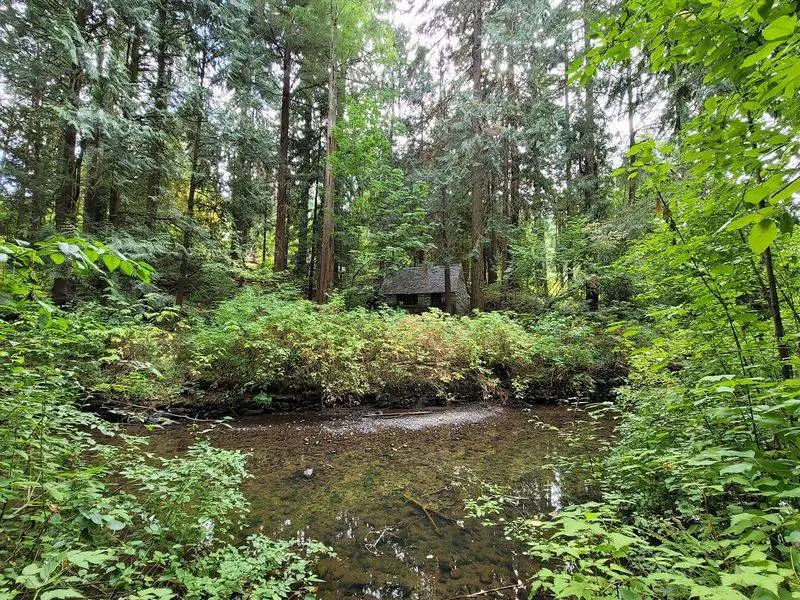 Johnson Creek Brings The Soundtrack And A Brand New Bridge