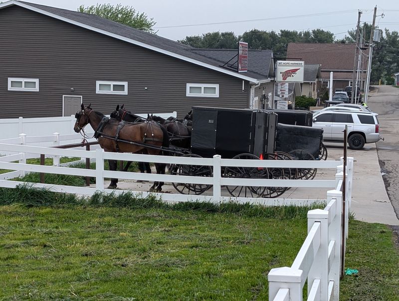 A Taste of Mt. Hope's Amish Country
