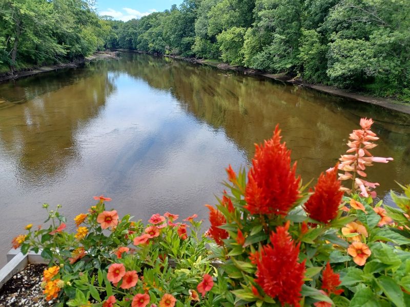 Look Down At The Farmington River