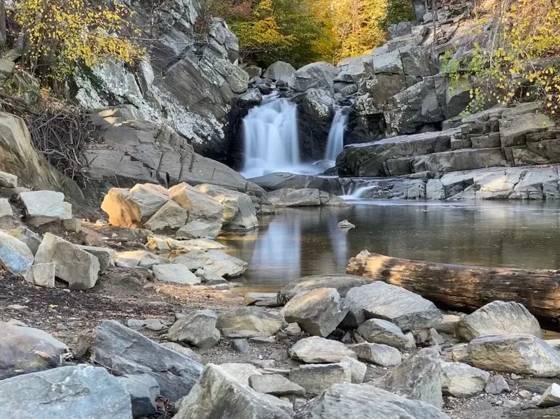 Scott&rsquo;s Run Nature Preserve