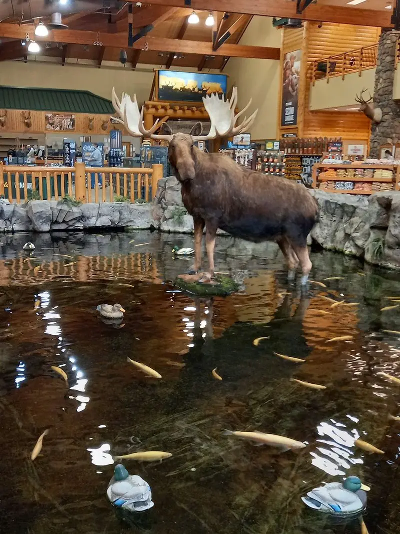 The Aquarium Adds Living Movement