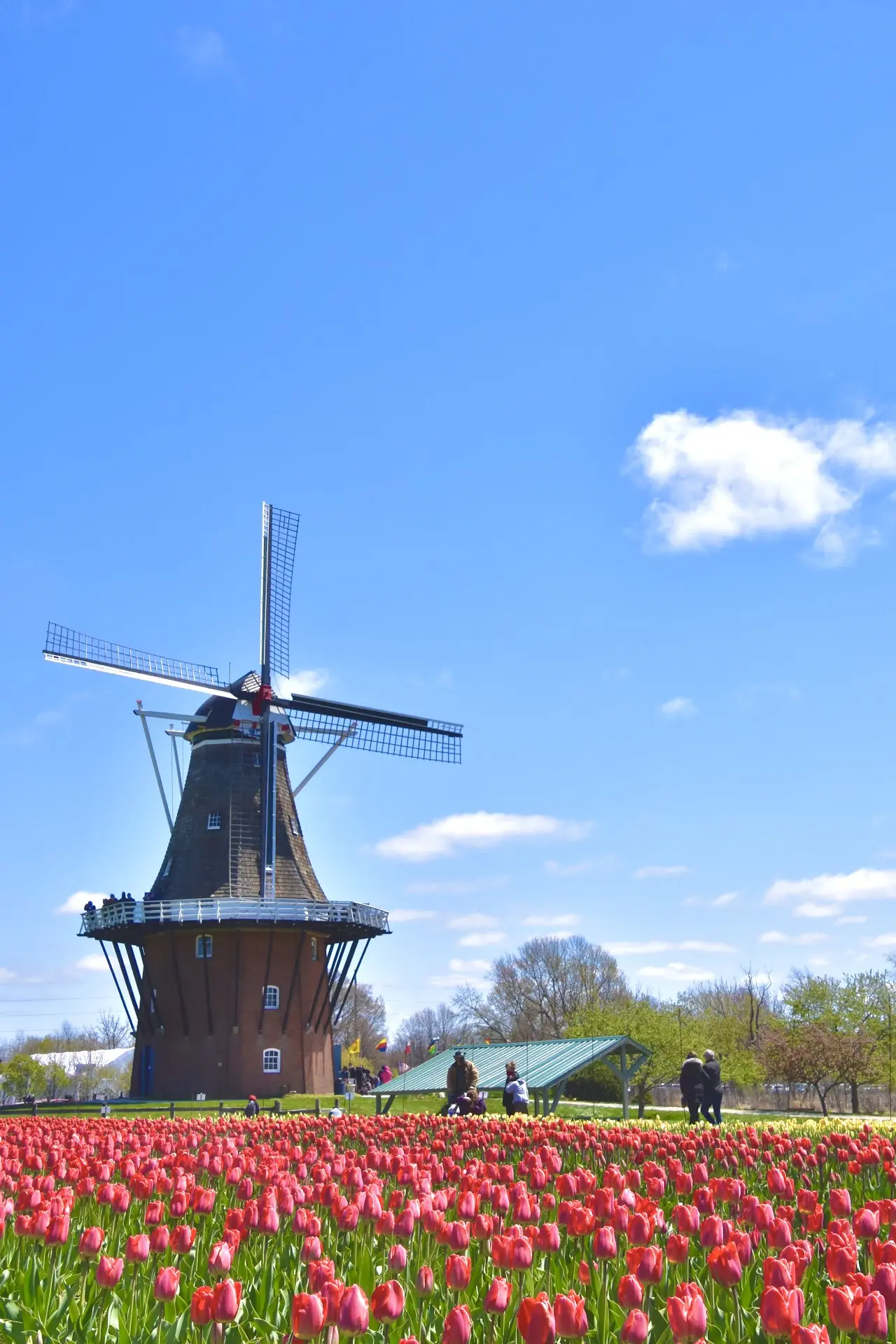 A 1761 Windmill Still Gets To Work Here
