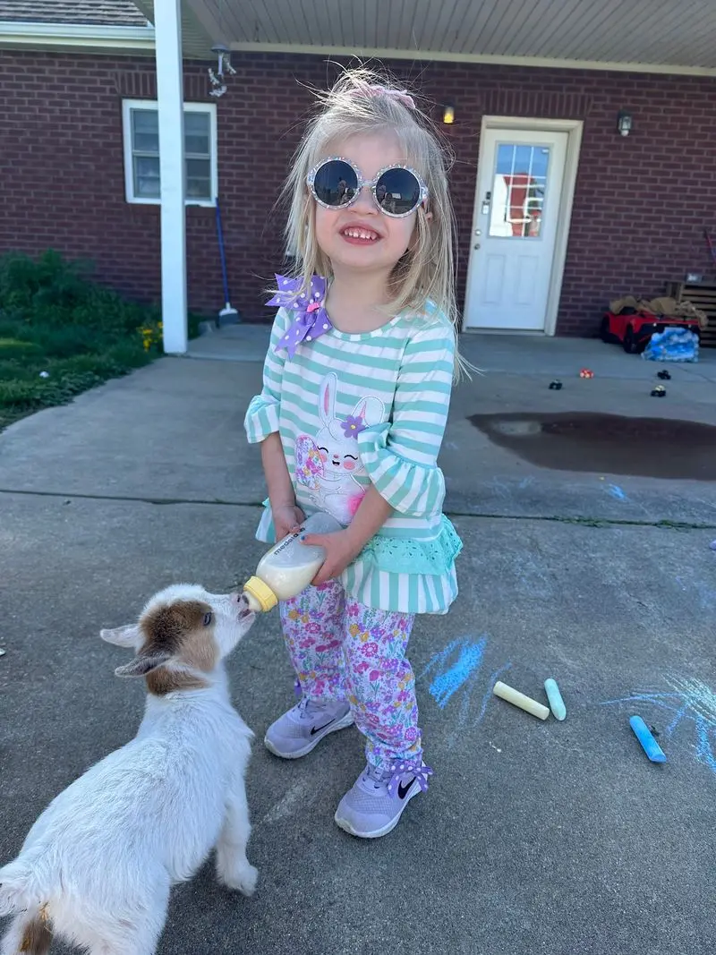 Baby Goats, Bunnies, And A Highland Cow Steal The Show