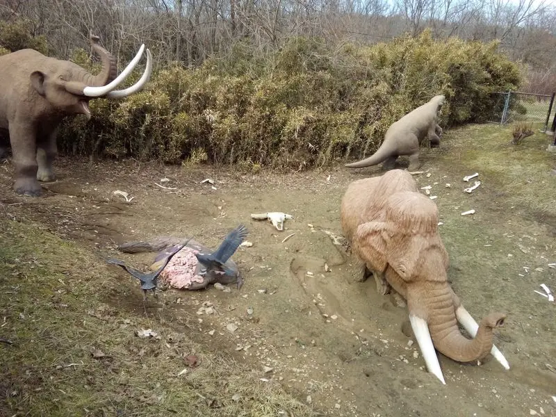 A Free Ice Age Playground Just South Of Cincinnati