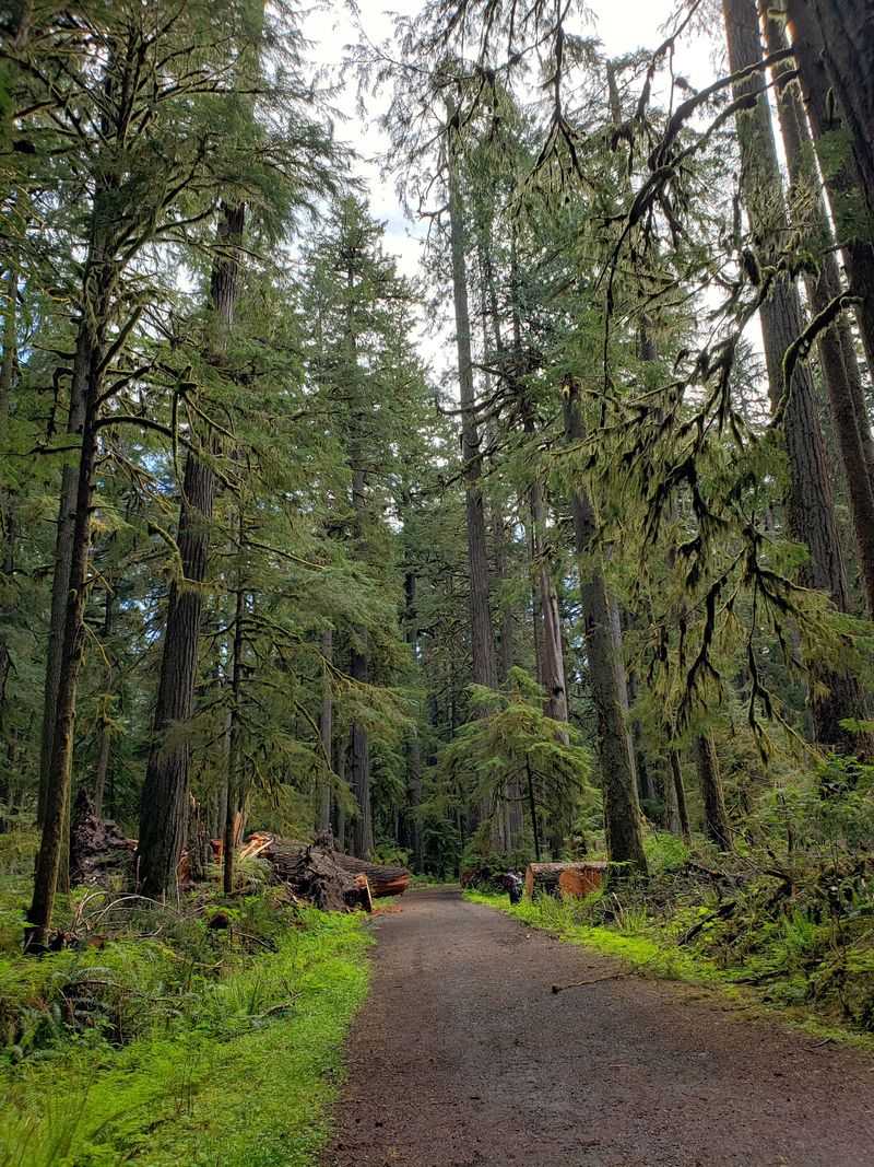 Bikes, Longer Hikes, and a Road Turned Into a Trail