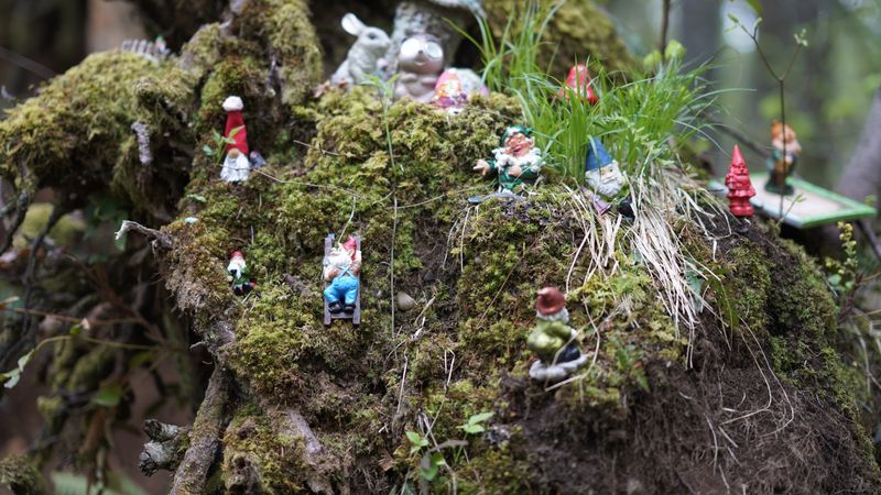 Roughly A Hundred Little Faces Peek Out From The Trees