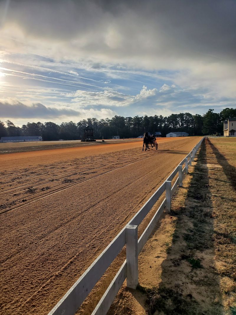 Horses Have Their Own Famous Track Here