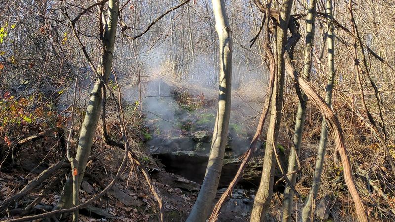 Blame It On A Spring Cleanup That Went Very Wrong