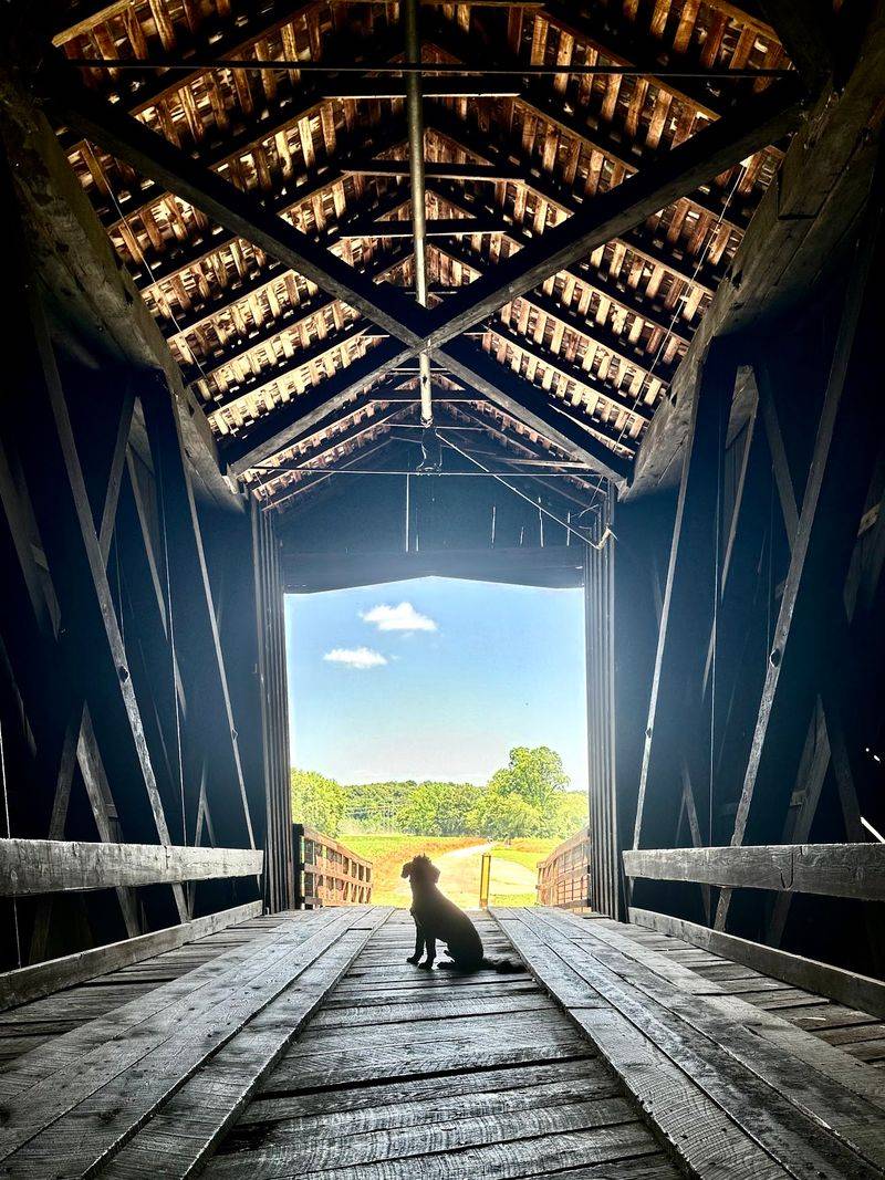 Meet Flour, The Mill's Furry Tour Guide
