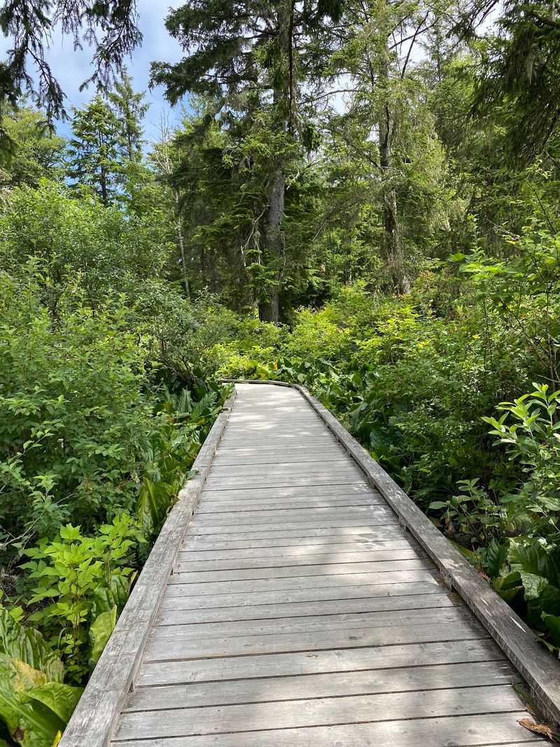 Wooden Planks Instead Of Mud Make Everyone Happier