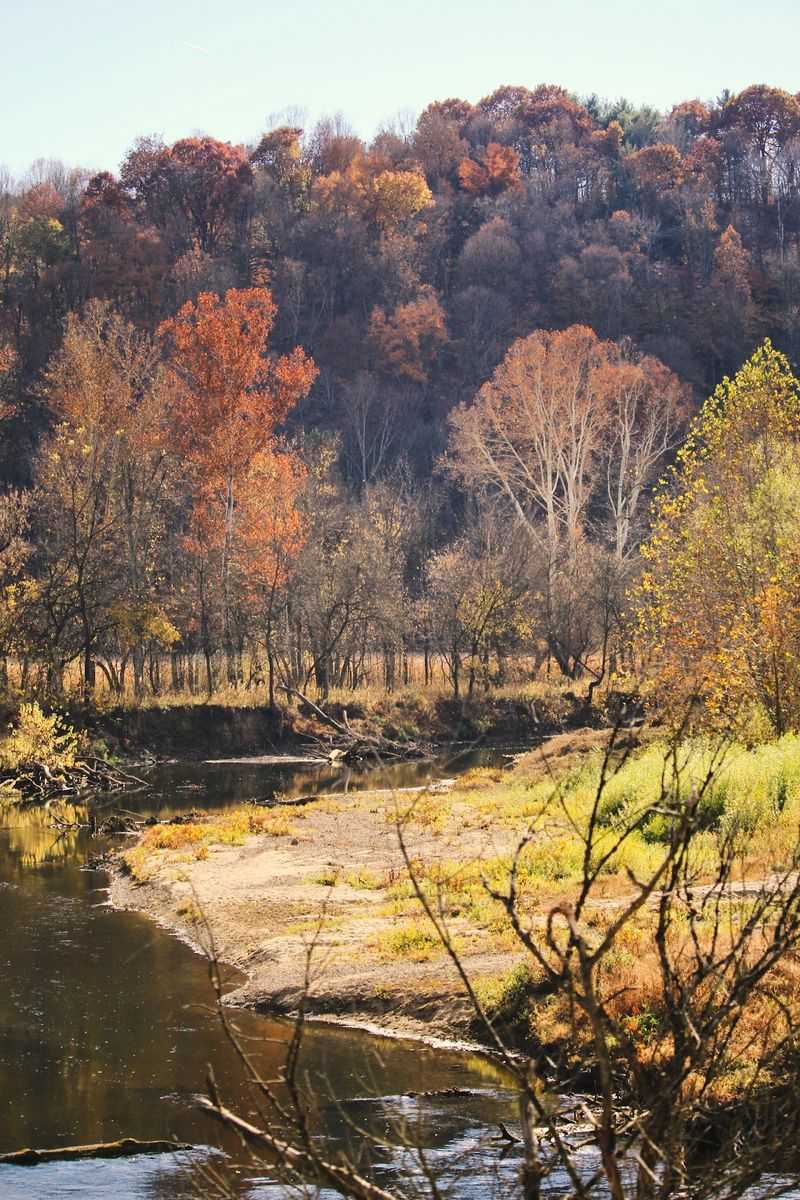 Watch Autumn Unfold From a Different Angle