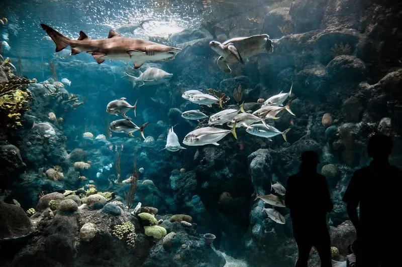 The Florida Aquarium