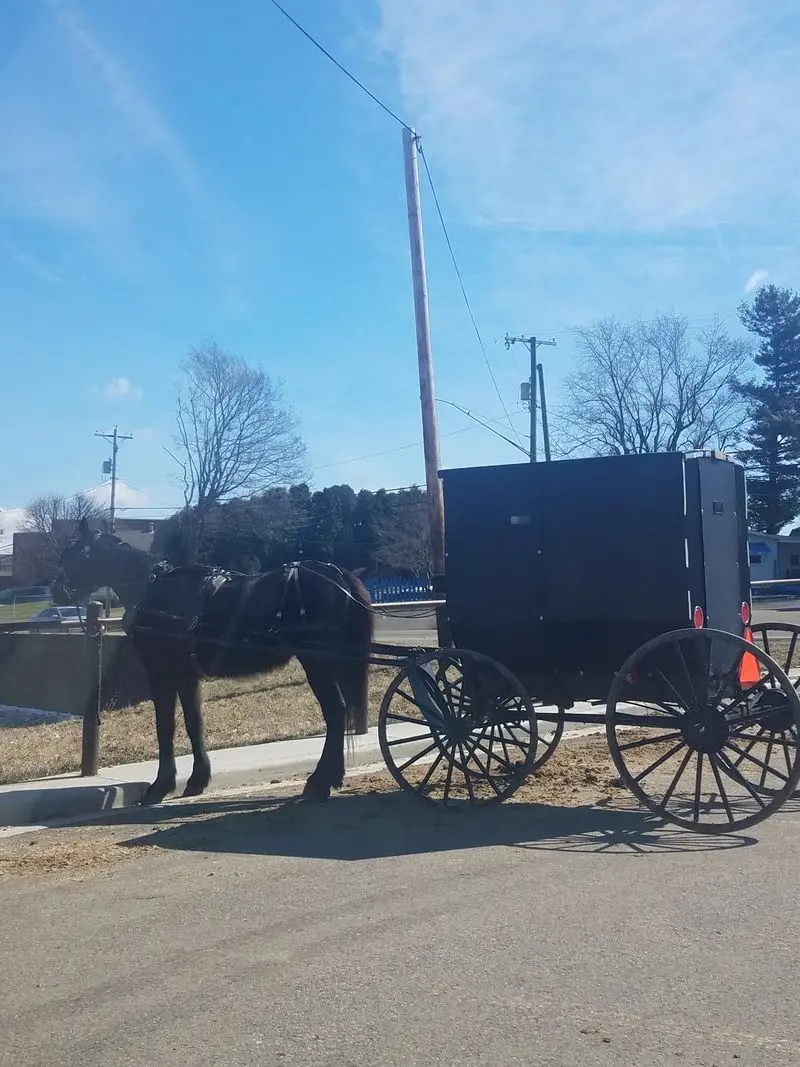 Slow Down, Because Buggies Have The Right Rhythm