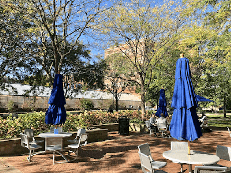 A Sweet Stop on a Campus Walk