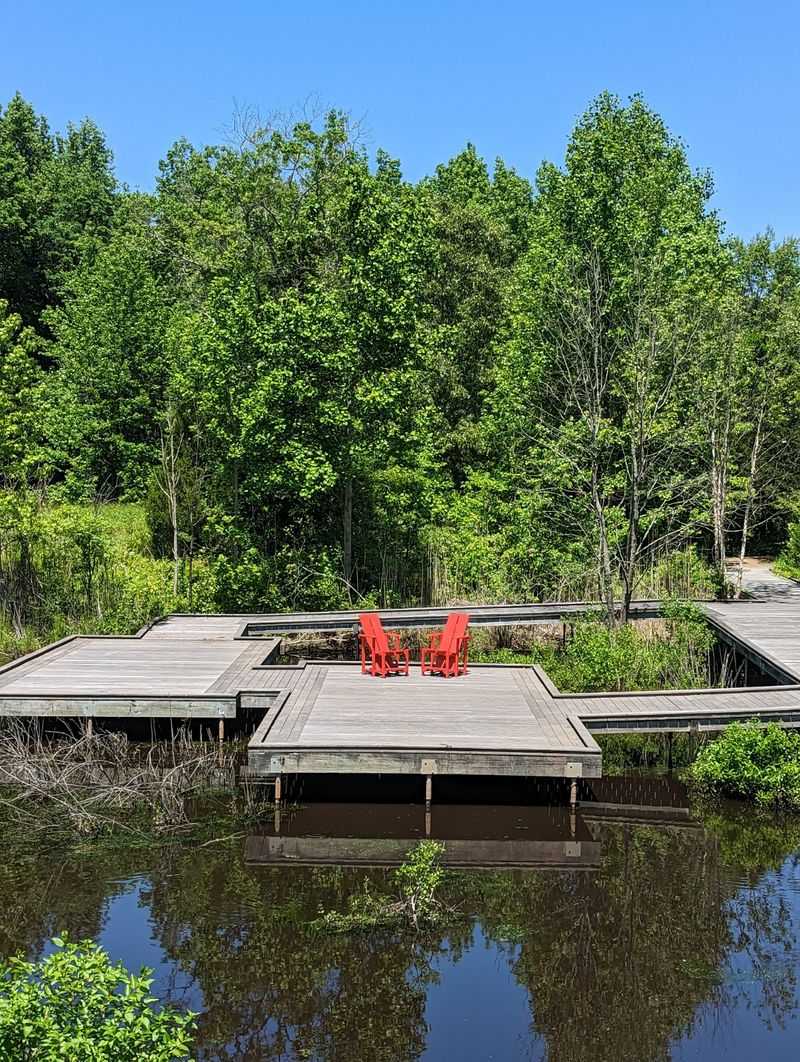 A Quiet Eastern Shore Preserve You Probably Drove Right Past