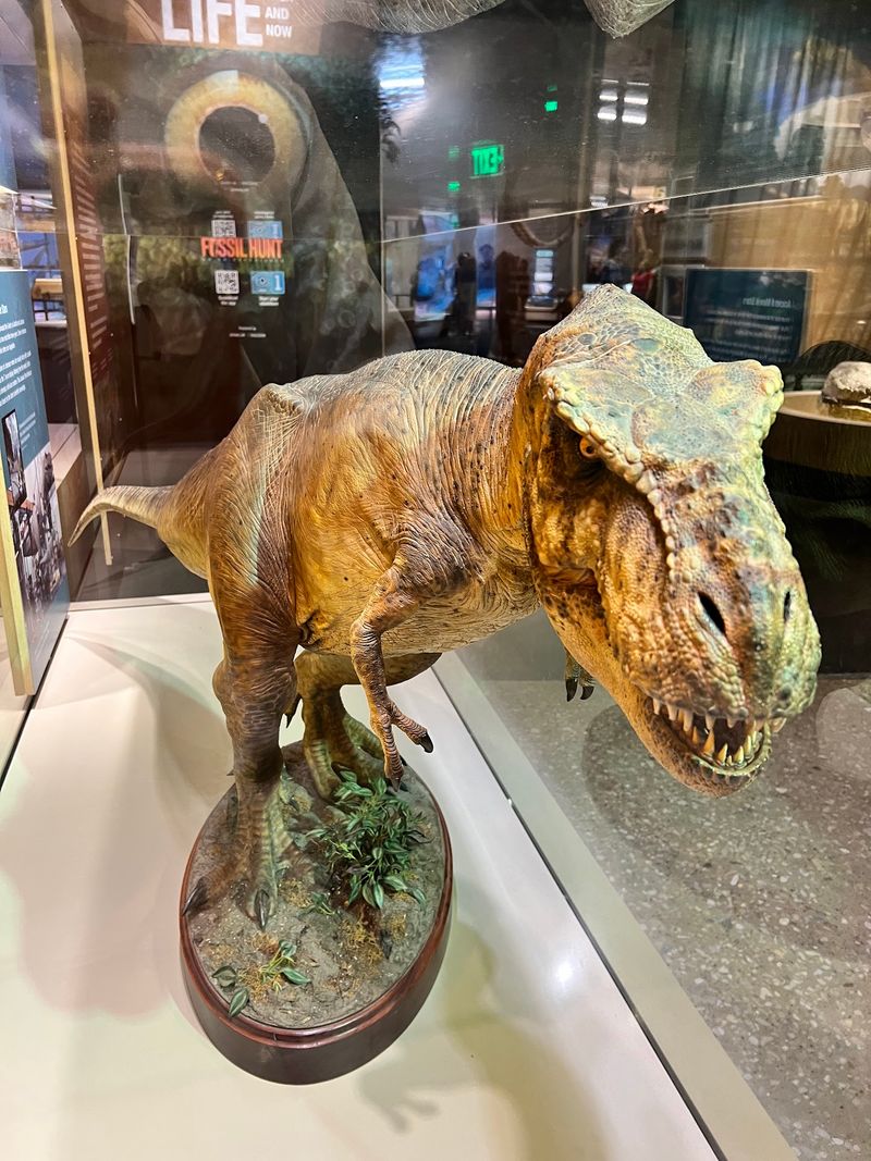 Race A T. Rex And Find Out Who Wins
