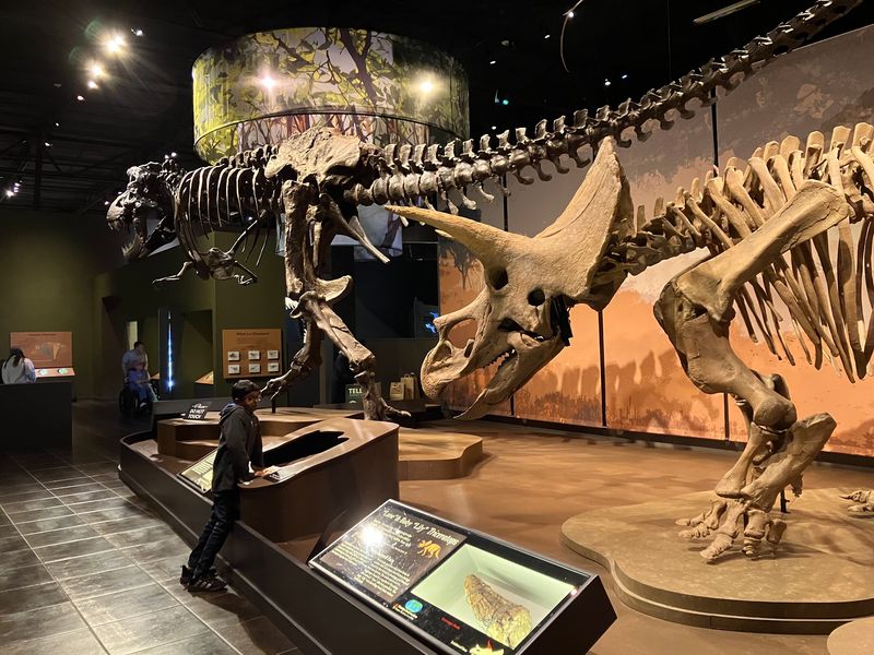 Tellus Science Museum