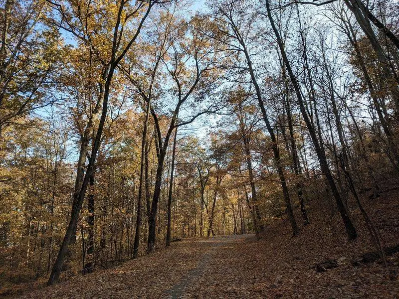 Why the Loop Along Rundill Road Is So Easy To Love