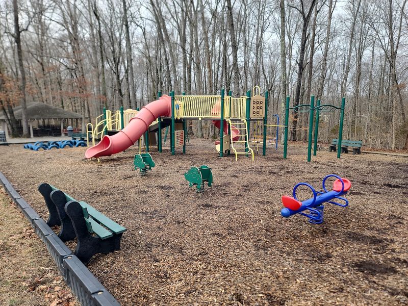 Room To Run, Swing, And Stretch Your Legs