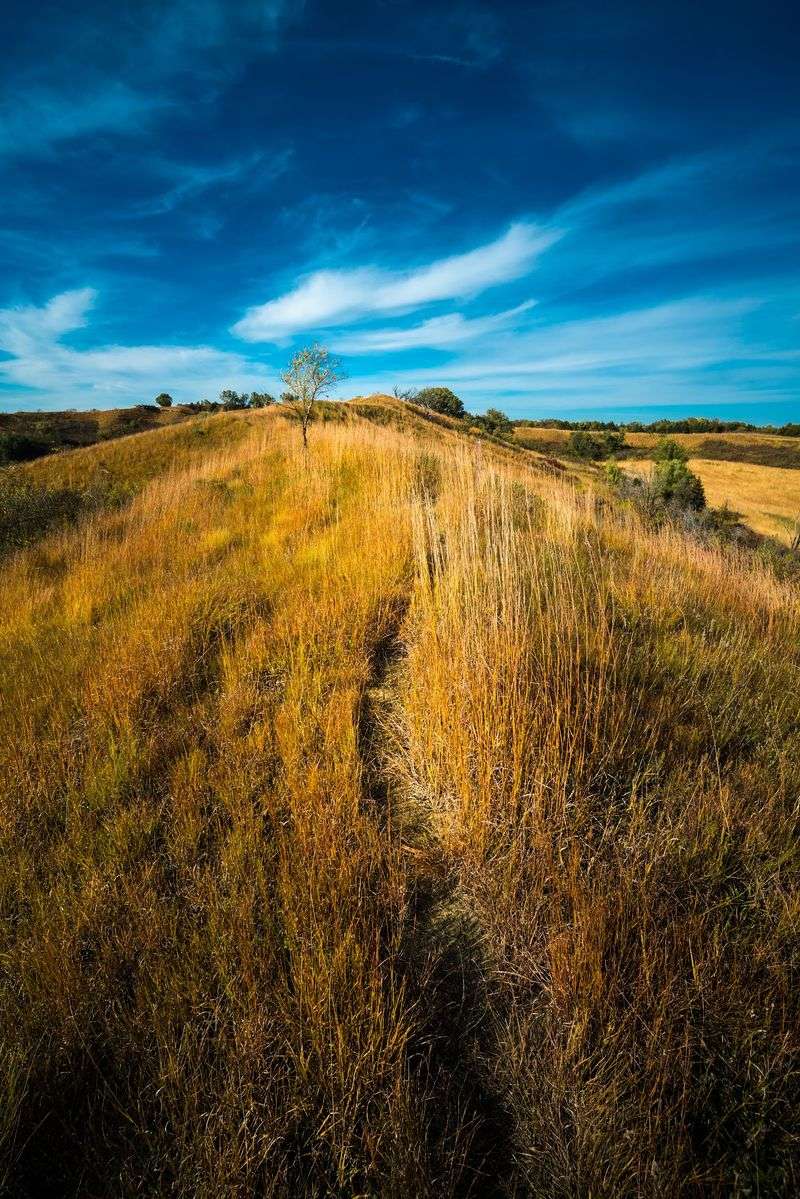 Some of Iowa's Last Wild Prairie Waves Hello Here