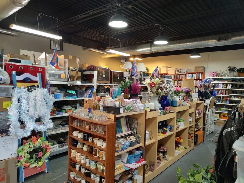 The Vine Thrift Store