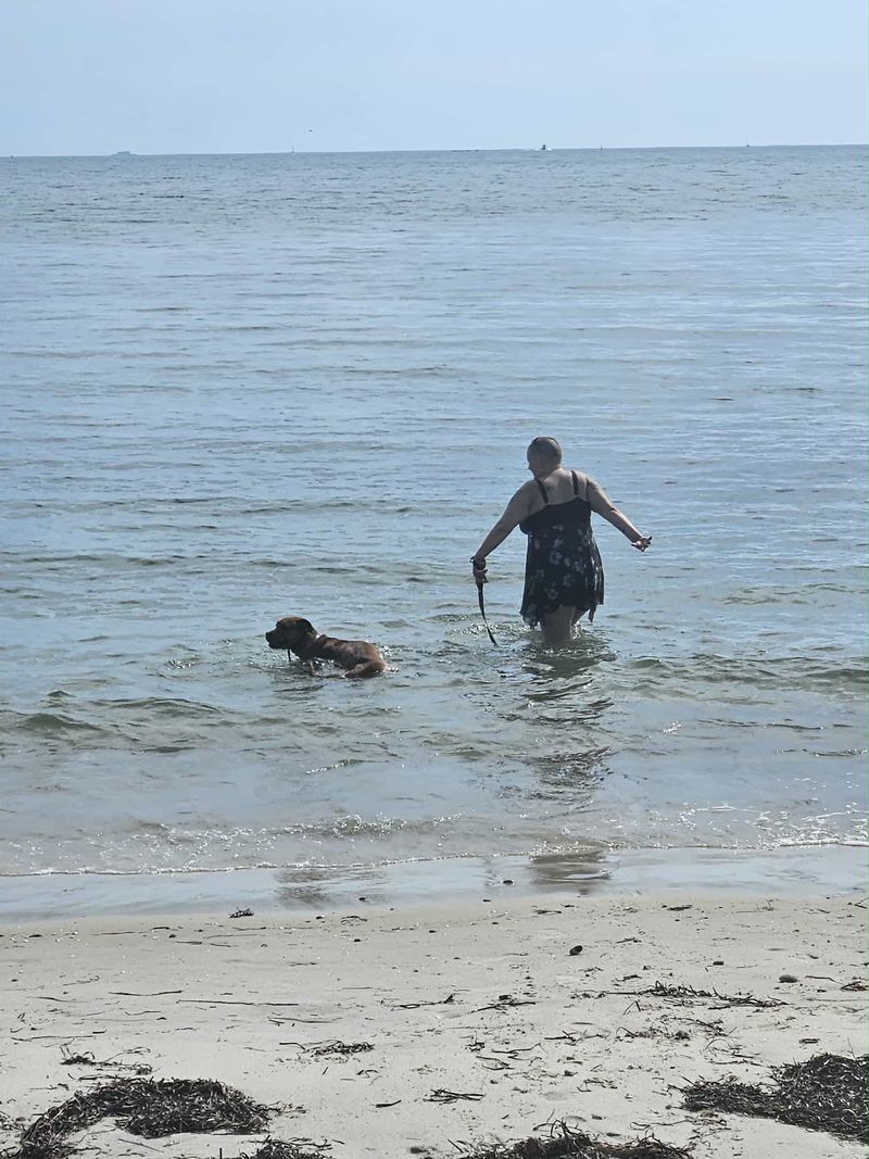 Your Dog Gets An Invitation Once Summer Ends