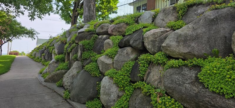 Boulders So Big They Waited Years For The Right Home