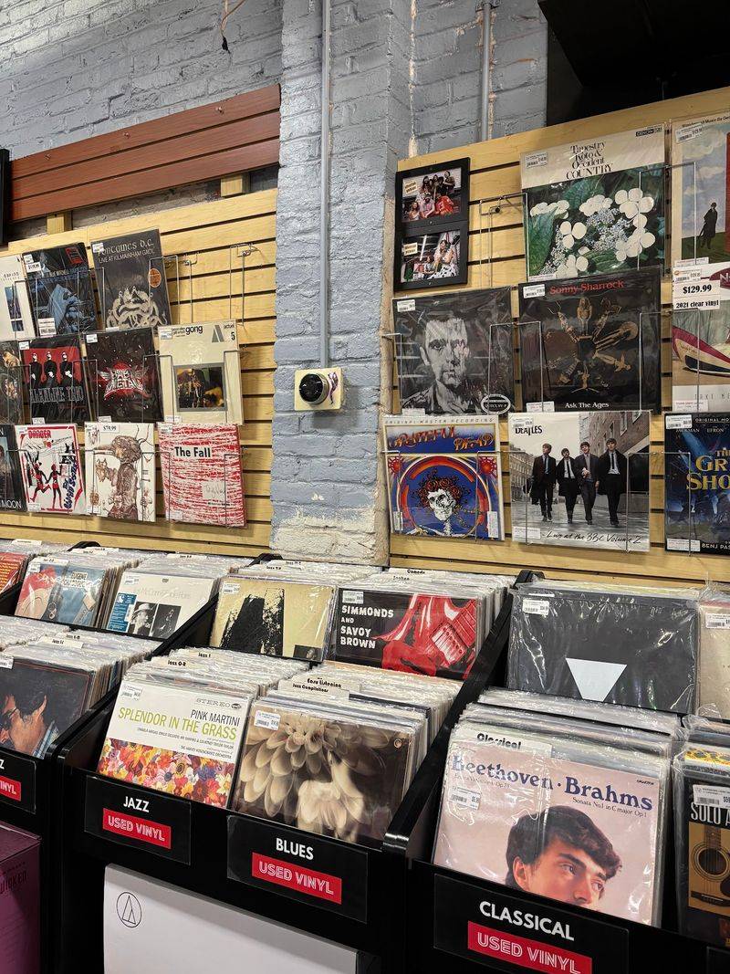 Bins Of Used Vinyl That Reward Patient Digging