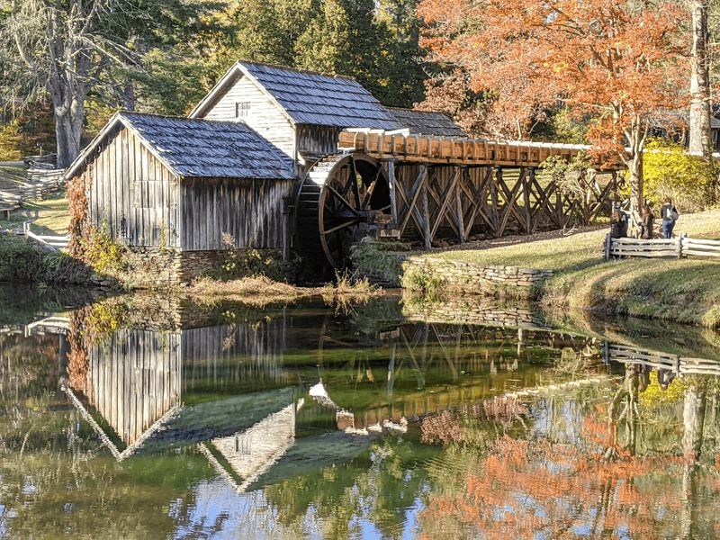 A Pond Reflection Worth Waiting For