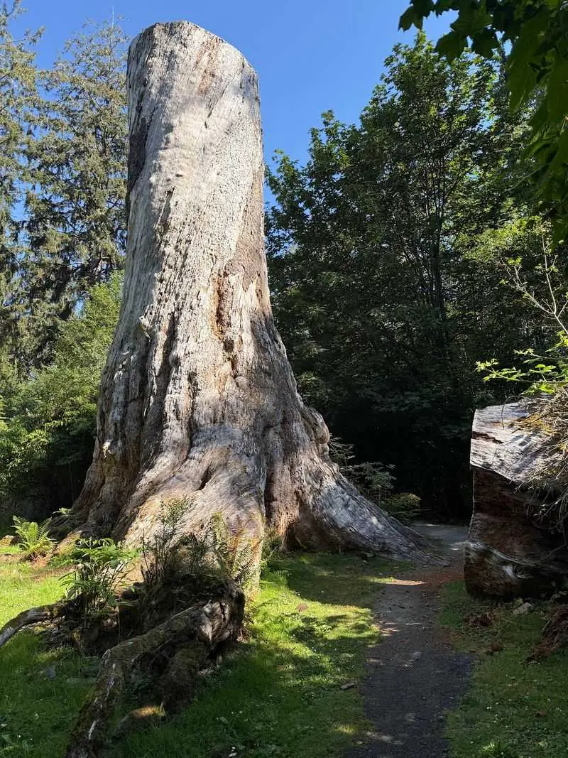 Why Pictures Never Do This Stump Justice