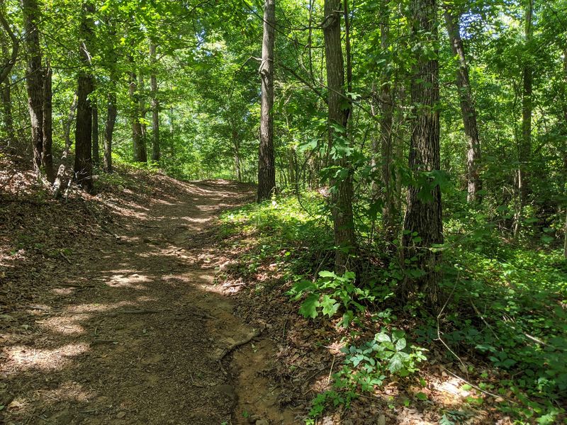 Eight Miles Of Trails Wait For Your Hiking Boots
