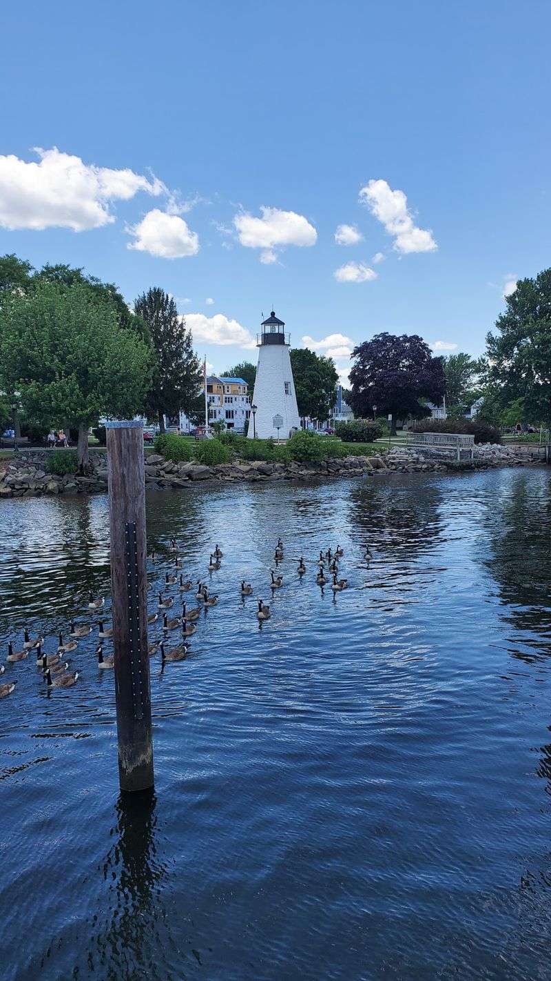Rows Of Wooden Ducks Waiting Inside The Decoy Museum