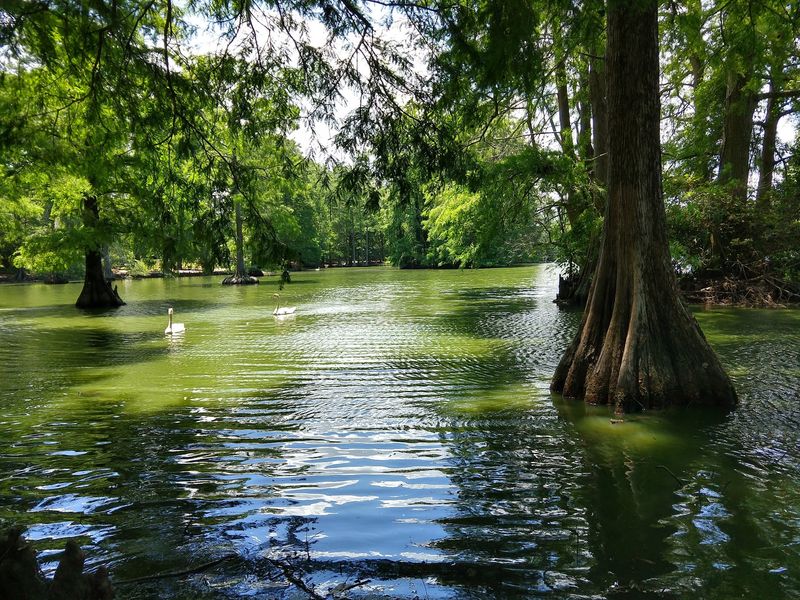 Pack A Picnic, Because Leaving Early Isn't Happening