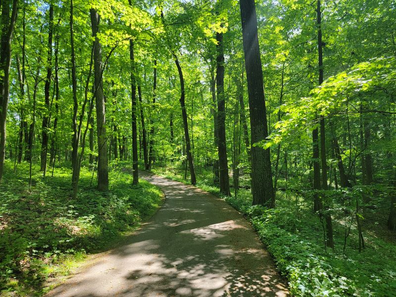 The Trail Up Is Half The Adventure, So Pace Yourself
