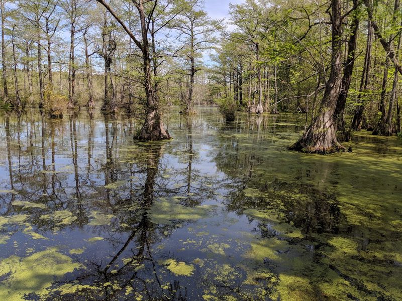 Grab A Paddle, Because The Best Views Float