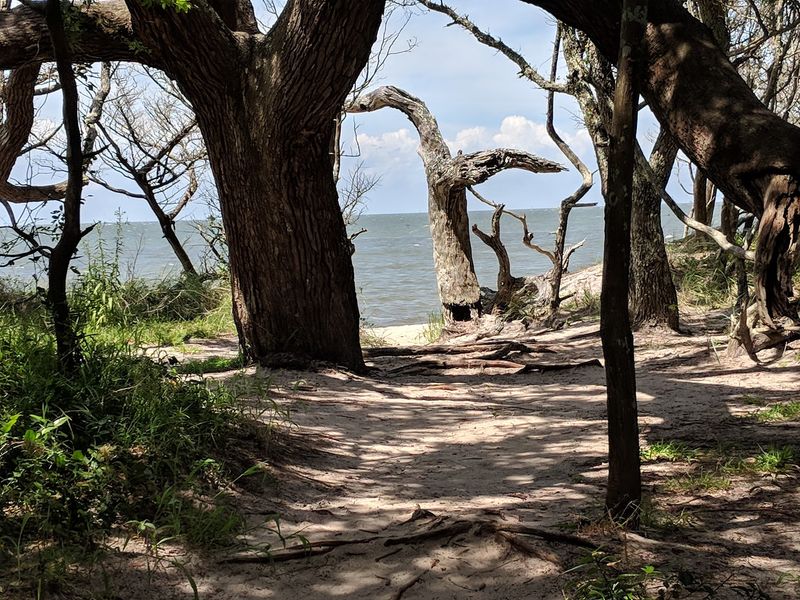 Show Up Early and You Might Have the Trees to Yourself